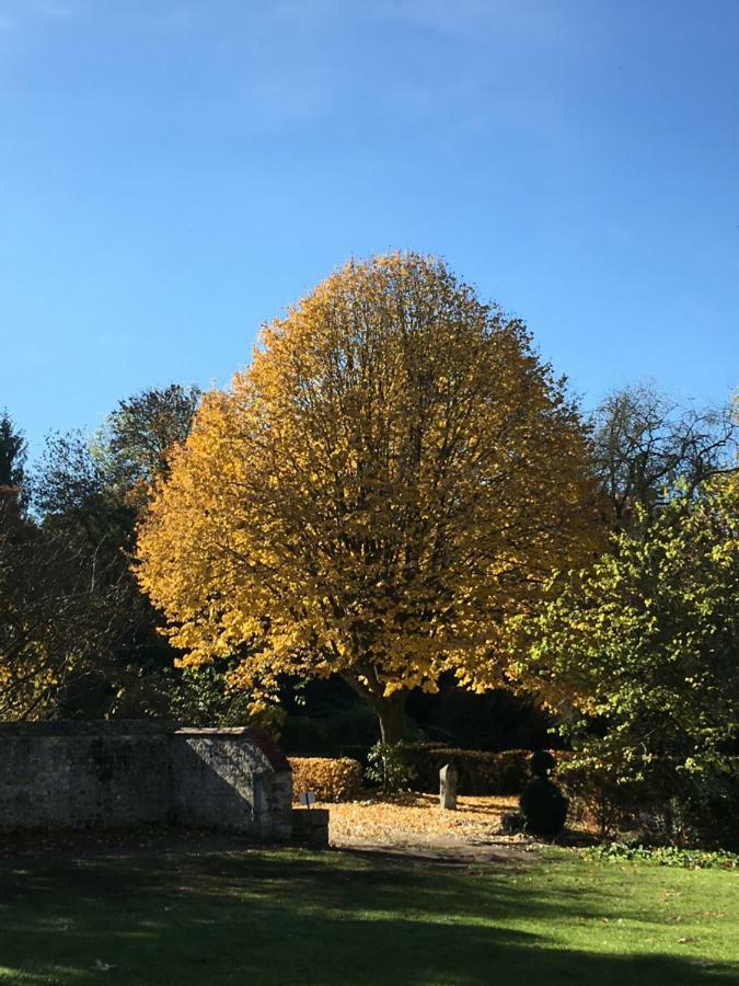 Manoir De L'Aumonerie Villa Saint-Martin-de-Boscherville Exteriör bild